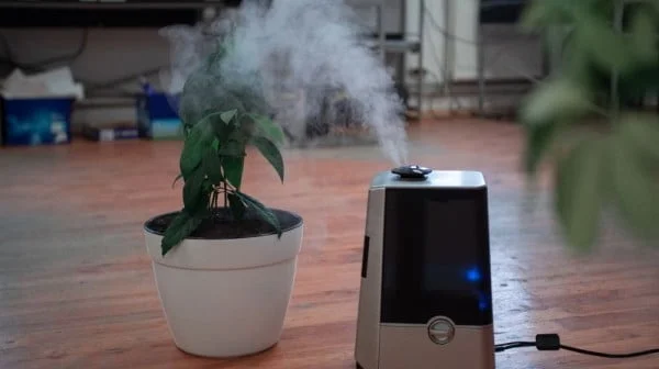 How To Make A DIY Humidifier To Improve Air Quality In Your Home