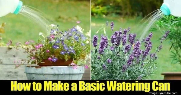 How to Make A Simple Homemade Watering Can