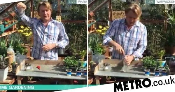 How to make DIY watering can and bird-feeder with household waste in lockdown