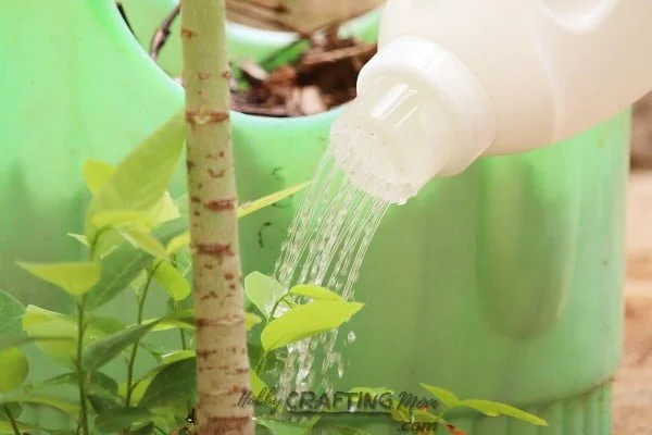 Make an easy DIY Watering Can
