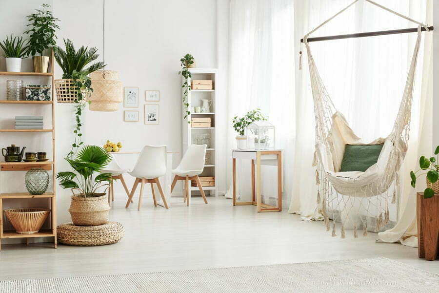 bright room with plants
