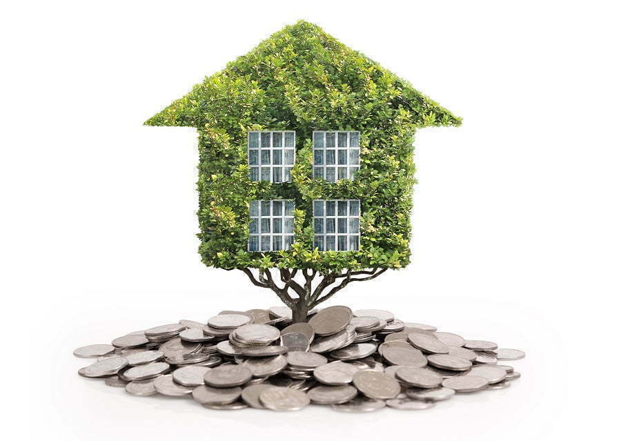 eco house