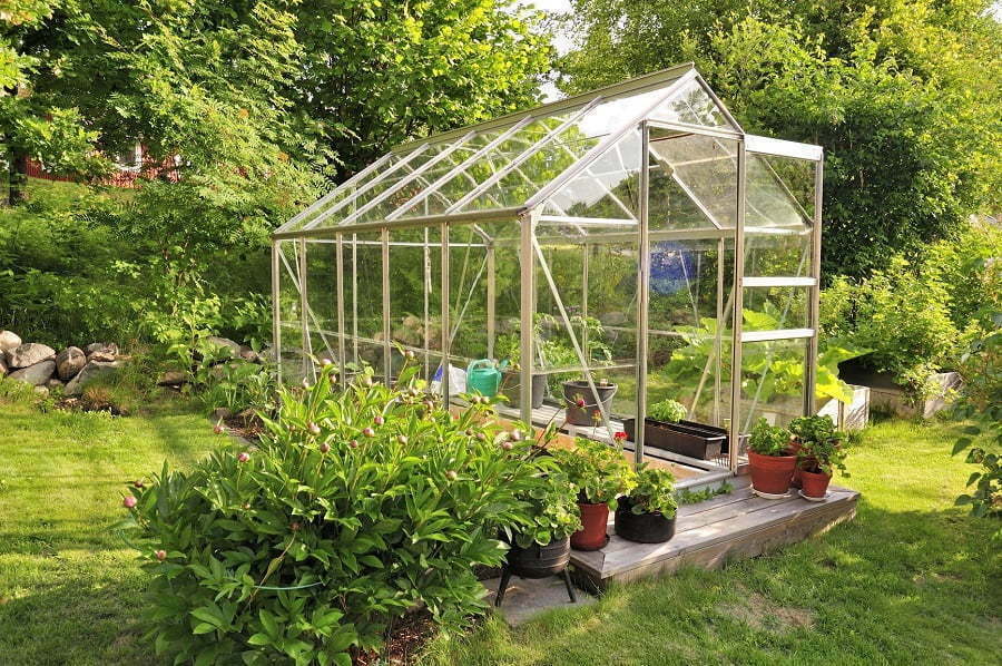 a greenhouse