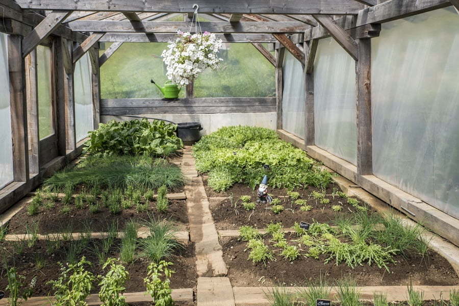 rafter greenhouse