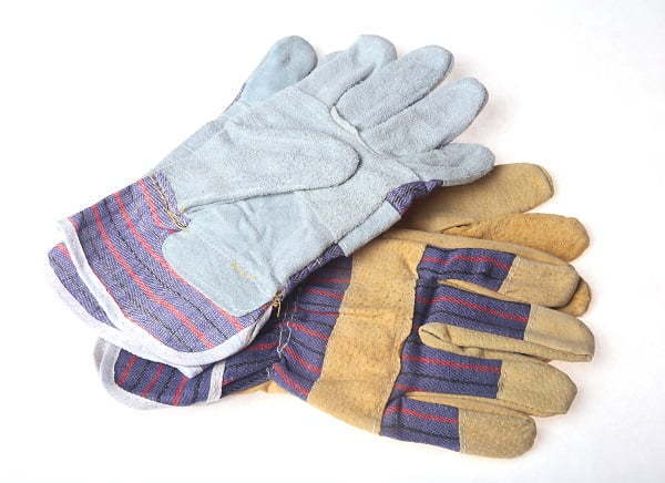 gloves