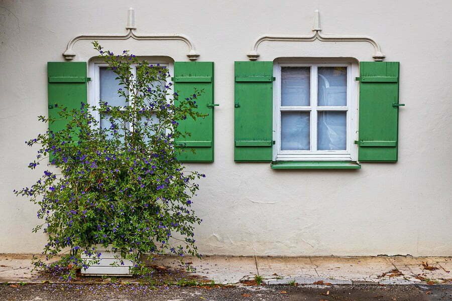 old window shutters