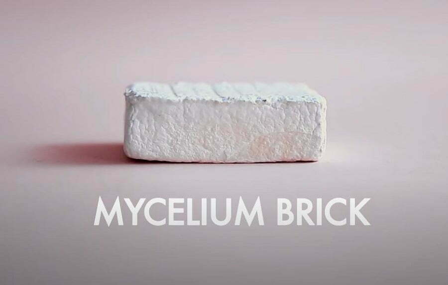 mycelium brick