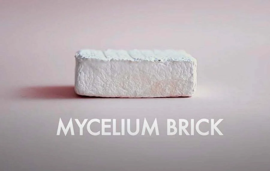 mycelium brick