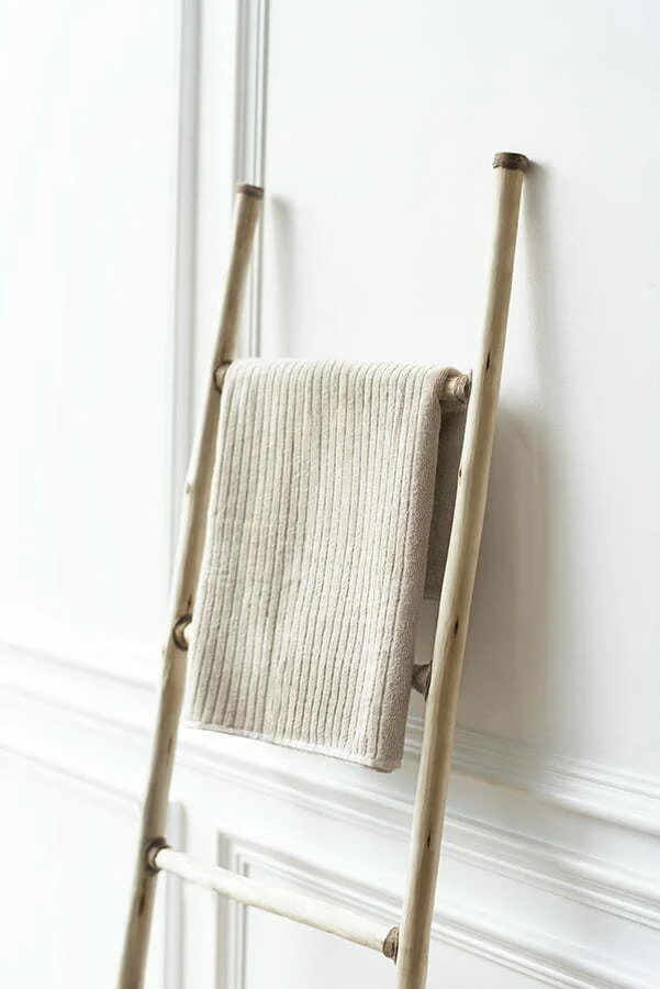 Blanket Ladder
