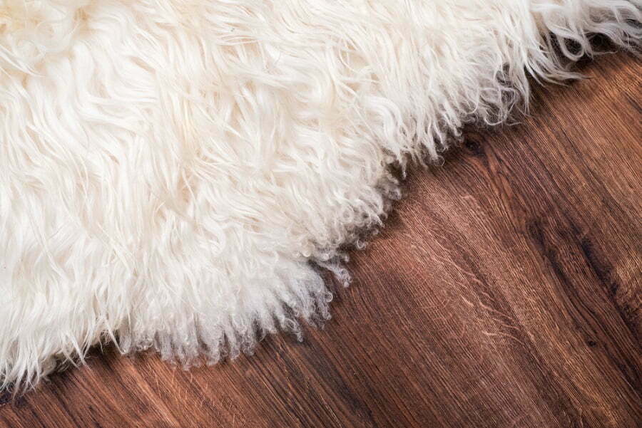 furs on the floor