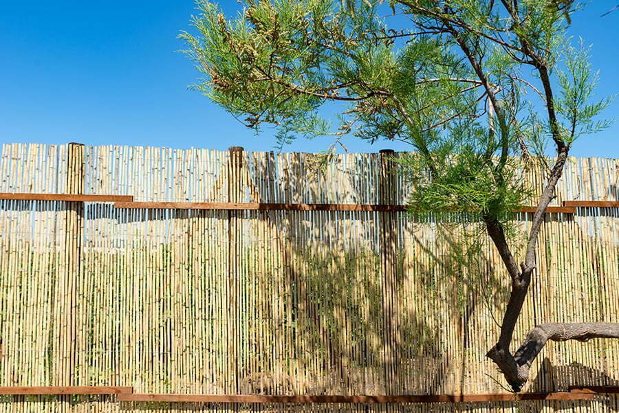 Bamboo Fence