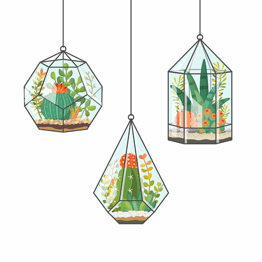 Hanging Terrarium