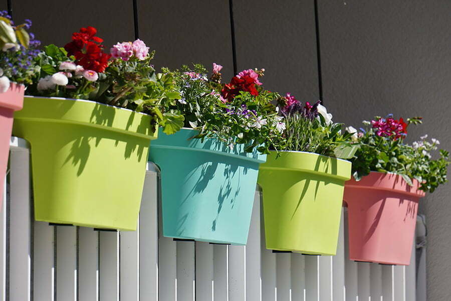 Potted Plants