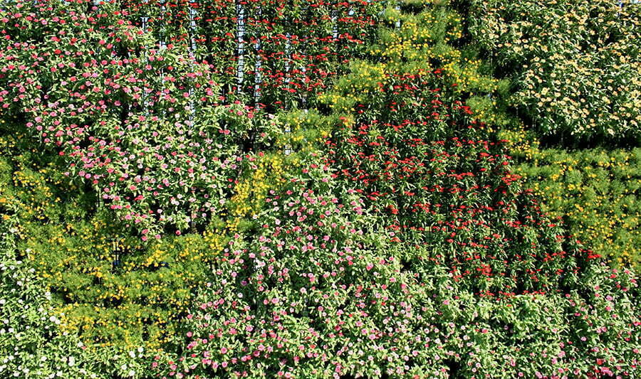 Vertical Garden Fence