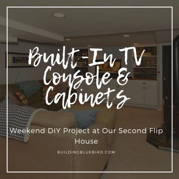 buildingbluebird.com diy storage cabinet