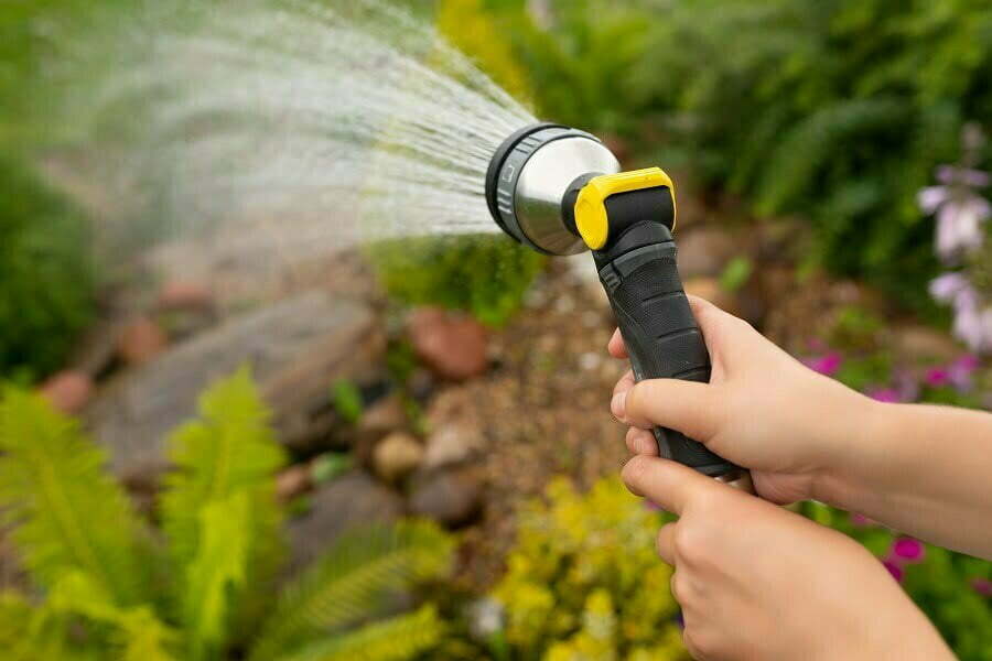 garden hose watering