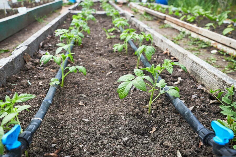 home garden irrigation system