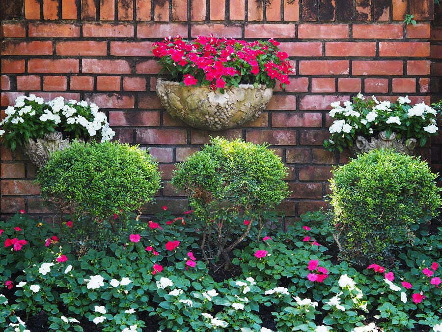 home garden flowers