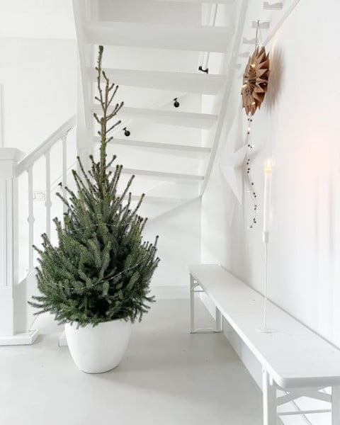 Little Christmas Tree japandi christmas decor idea