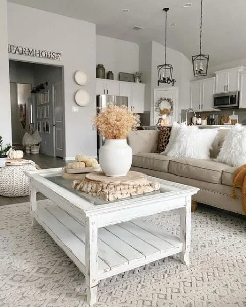 Neutral Home Decor modern living room idea