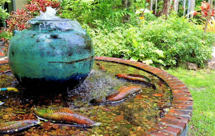 backyard fountain