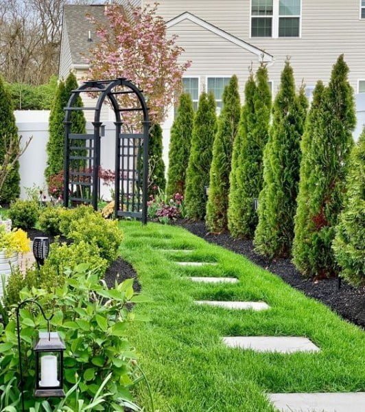 Hedge of Emerald Green Arborvitaes privacy fence