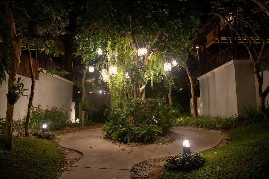 landscape downlighting