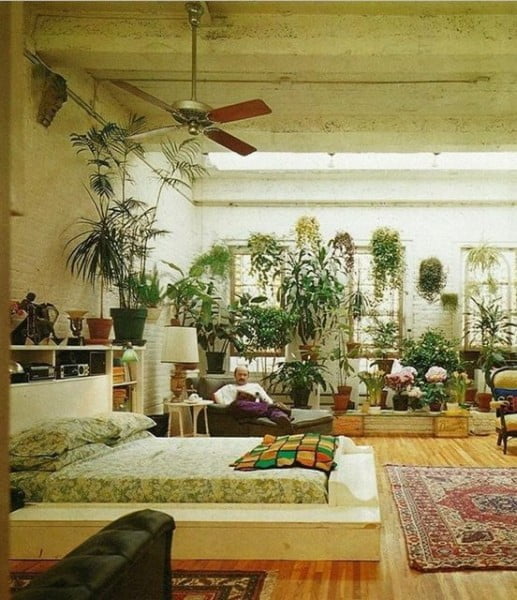 Jungle Boogie bedroom with plants