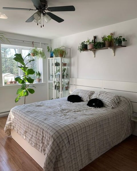 Planty Room bedroom with plants