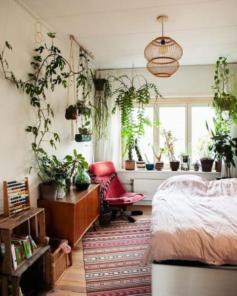 Plant Blogger and Lover bedroom with plants