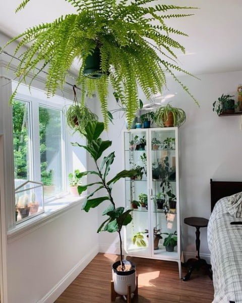 Planty View bedroom with plants