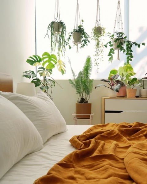 Cube House Jungle bedroom with plants