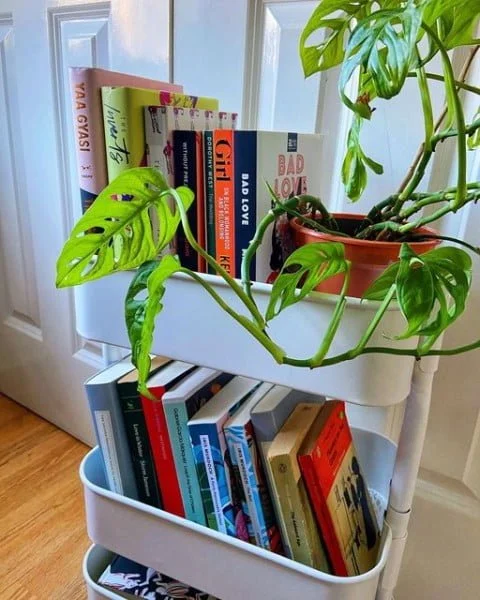 Tiered Bookshelf creative book storage