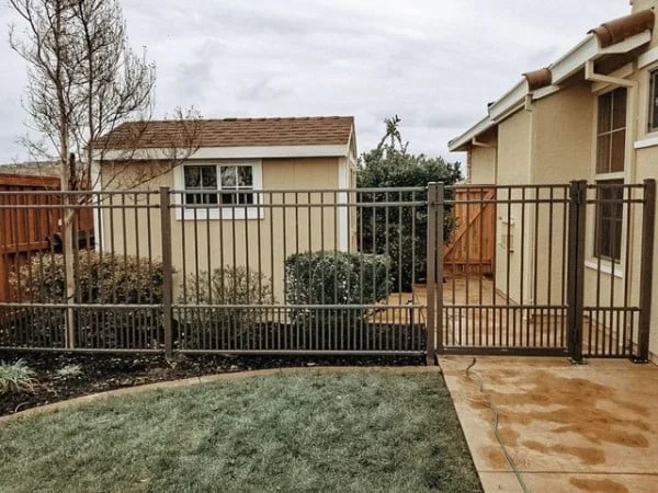 Puppy Pickets fence gate