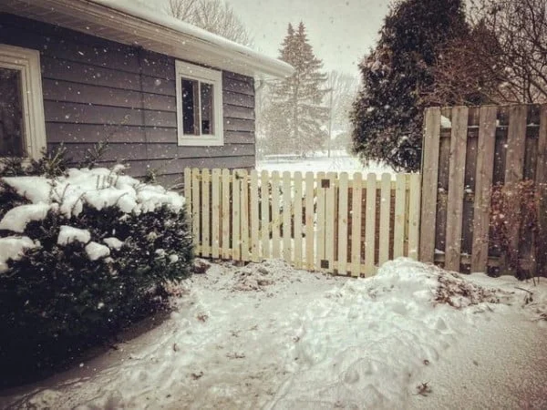 Giving all those Christmas Room to Roam! fence gate