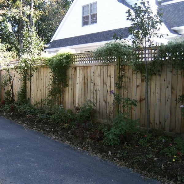 Natural Trellis Fence fence with plants
