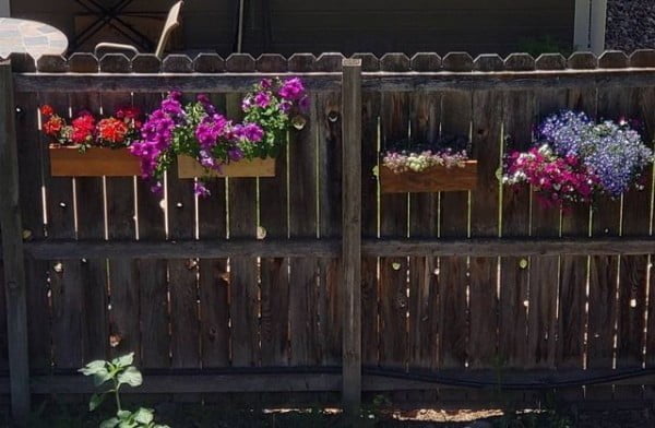 FlowersOnFences Flower Boxes fence with plants
