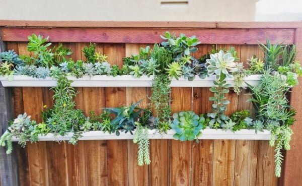 DIY Rain Gutter Planter fence with plants