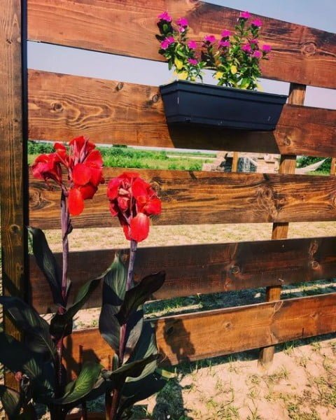 Bridget Matherne fence with plants