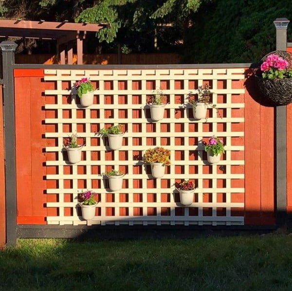 Living Wall Trellis Fence Garden fence with plants