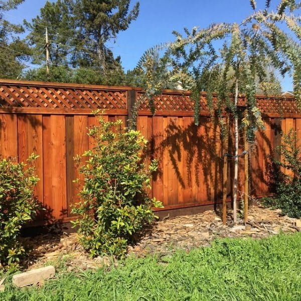 Stylish Privacy Fence fence with lattice top