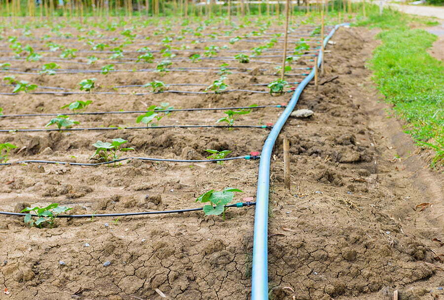 Drip Irrigation System garden