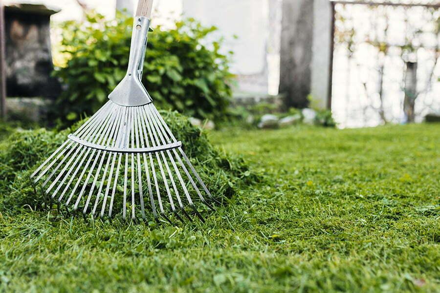 Grass Clippings at home