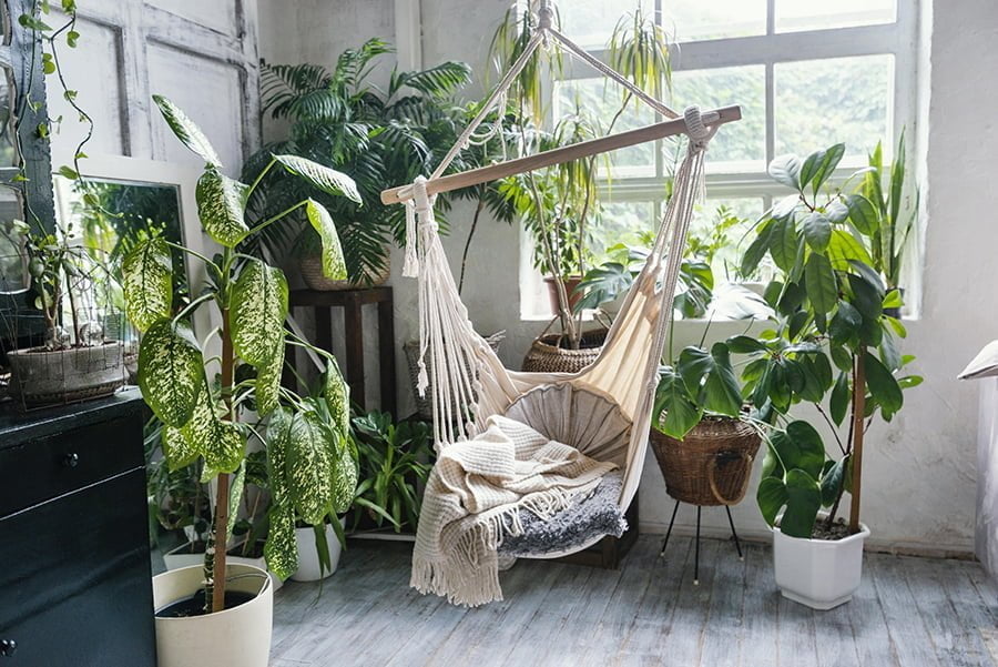 Greenhouse room