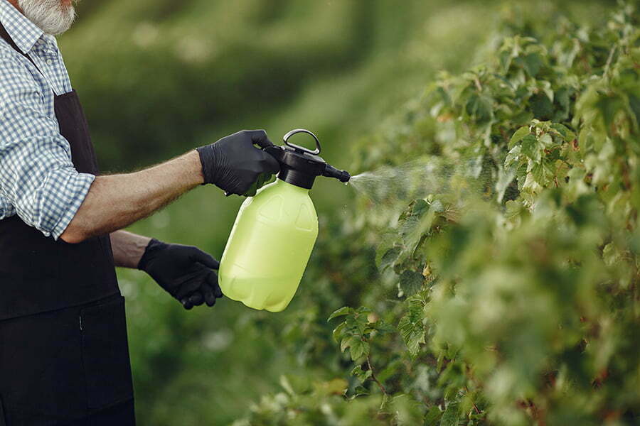 Handheld Spray Bottle garden