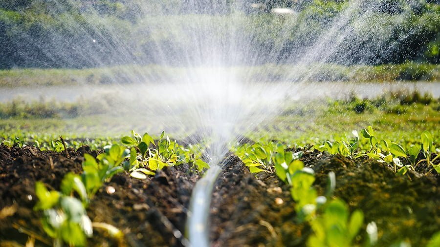 Sprinkler System garden