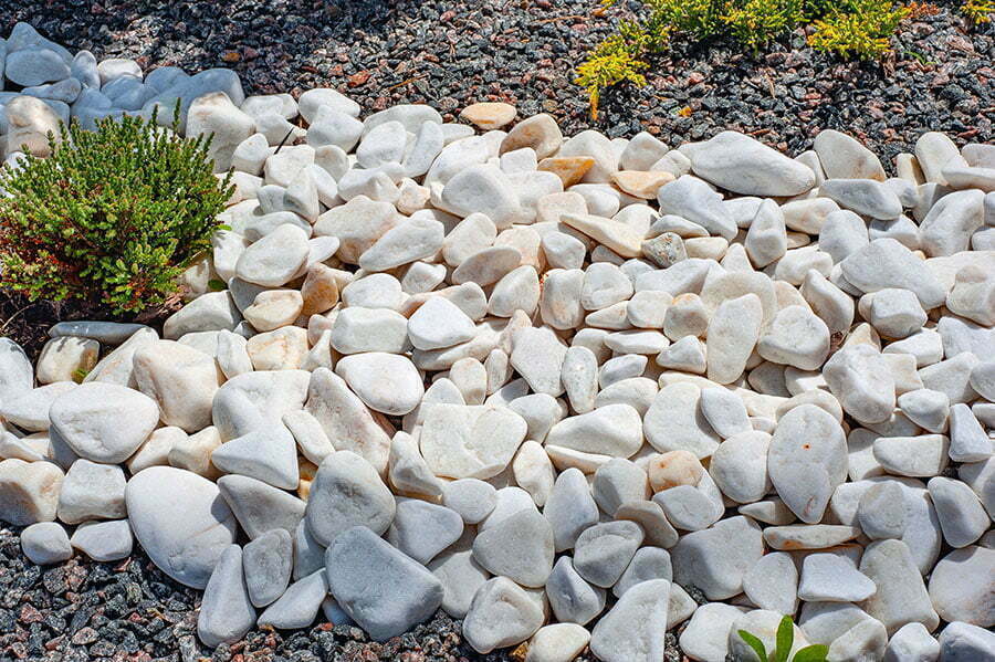 pebbles lawn