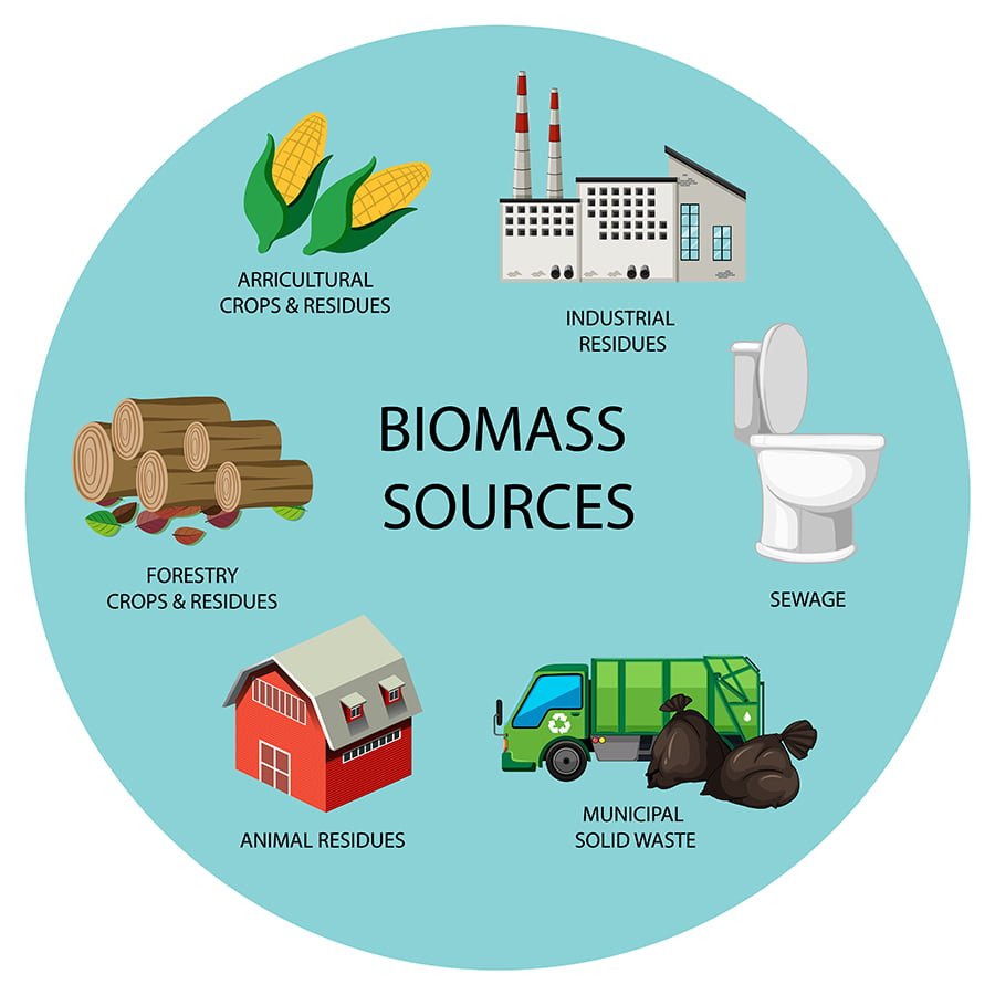 Biomass Energy Sources for homes