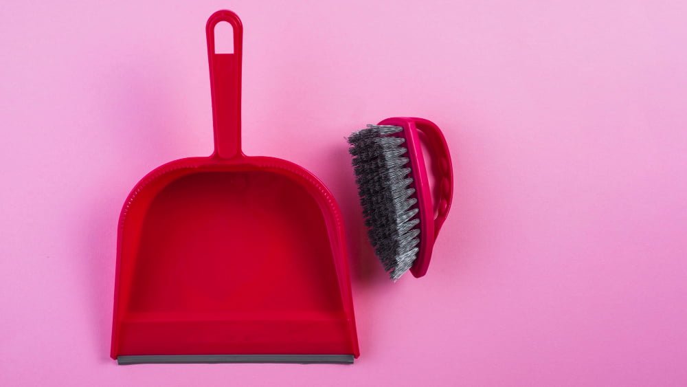 Dustpan and Brush