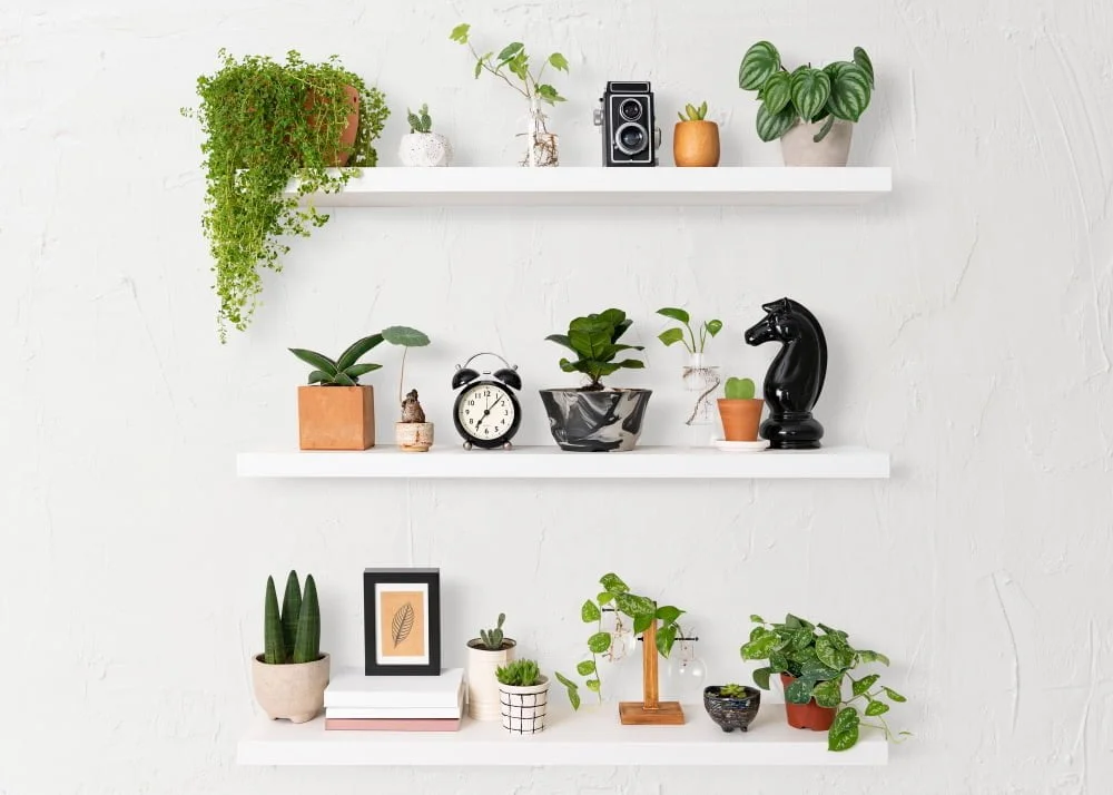 Gallery Shelves home decor